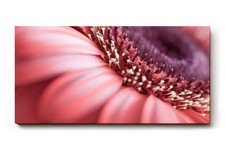 Sinus art wandbild - art,