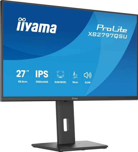 Iiyama prolite monitor - prolite,
