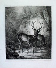 Karl Wilhelm Tornau deer