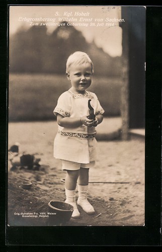 Erbgroßherzog wilhelm ernst - wilhelm,