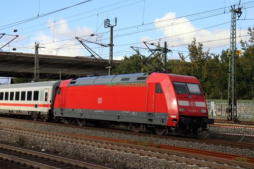 D37 6x4 foto 101087 - d37,