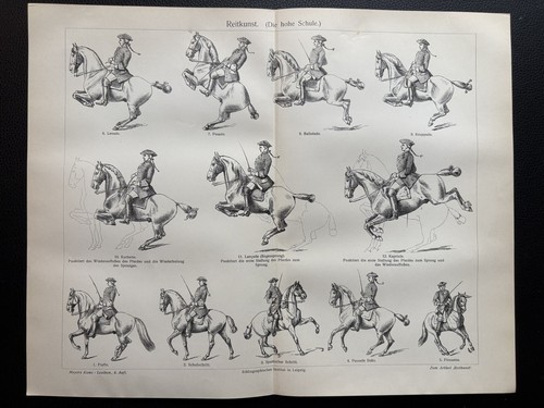 Antike grafik varia reitkunst - antike, varia: