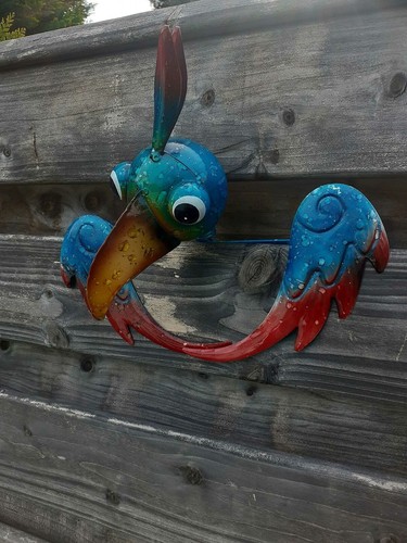 Brüstungstier vogel aus - brüstungstier,