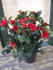 Künstliche Wildröschen im Topf,ca. 35cm sehr schön kunstblume Rosen Kunstpflanze