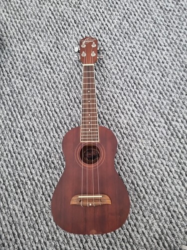 Oscar schmidt von washburn - oscar,