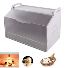 Brutinkubator Küken