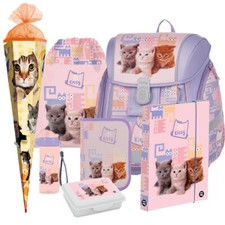 Katze Cat Pets Ranzen
