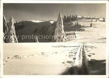 Tanzboden SG Langlaufloipe