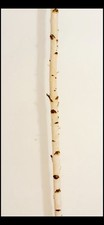 Gereinigter Birkenstamm 2Meter