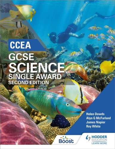 Ccea gcse single award - gcse,