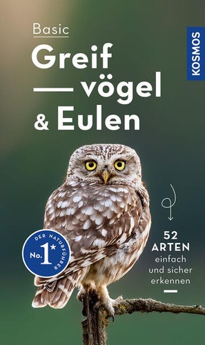 Basic greifvögel und eulen - greifvögel, |