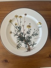 Villeroy & Boch Botanica 12 Essteller Speiseteller Groß (27 cm)