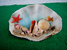 schöne Seashell Ornament,Meerset Echte Muscheln,Muschel Deko.Handarbeit.17x12 cm