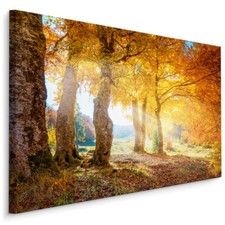 CANVAS Leinwand Bilder XXL