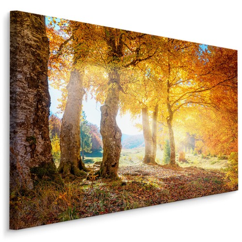 Canvas leinwand bilder - leinwand, xxl