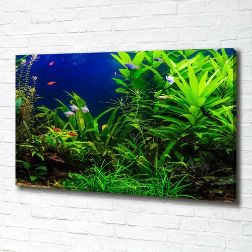 Leinwandbild kunst druck - leinwandbild, kunst-druck