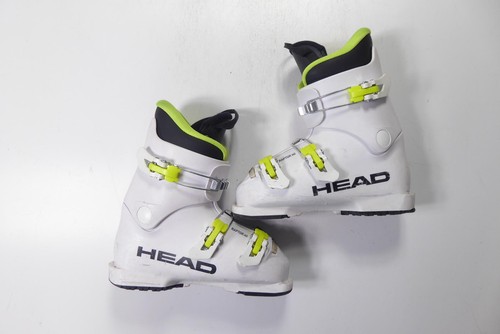 Head raptor - head, 40
