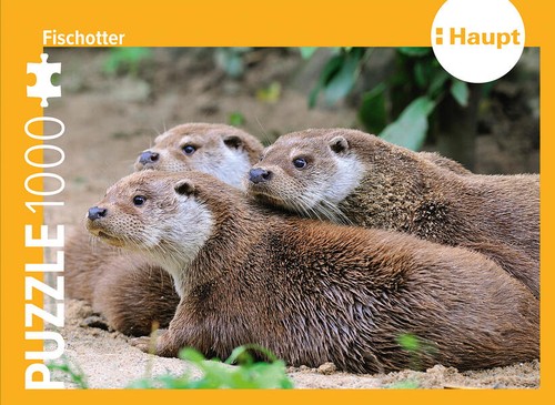 Fischotter puzzle - fischotter,