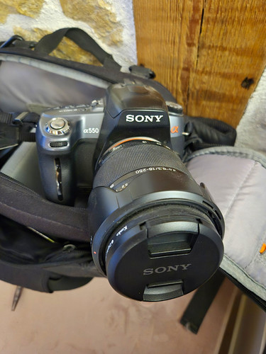 Sony alpha α550 - sony, dslr