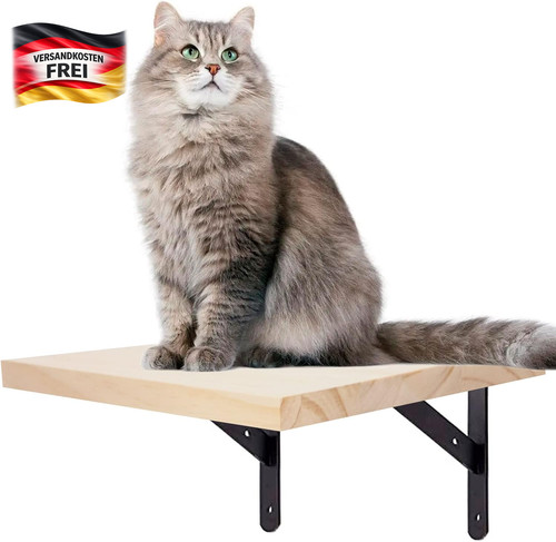 Katzenkletterwand