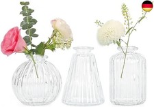 Vasen Klein Glas EylKoi -