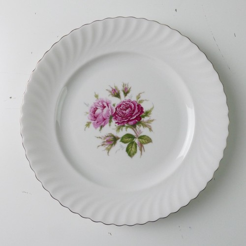 Kaiser moosrose teller flach - kaiser,