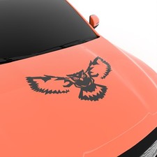 Motorhaubenaufkleber - , |