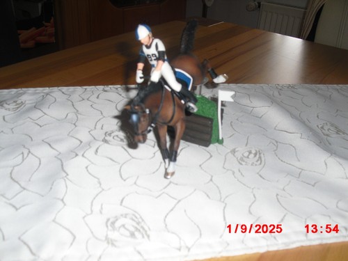 Schleich 42047