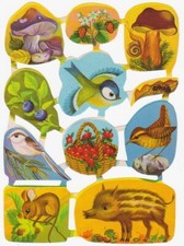 DDR RB 5 1296  Glanzbilder