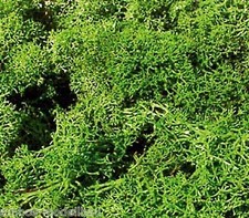 Heki 3219 (97,20€/kg)