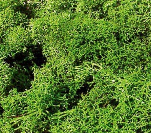 Heki 3219 - , (106,53€/kg)