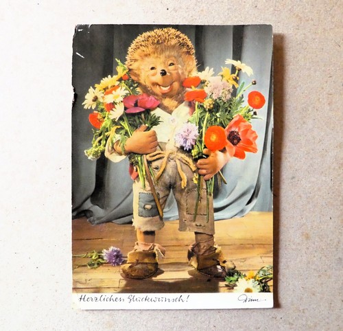 Alte mecki postkarte - 🌟,