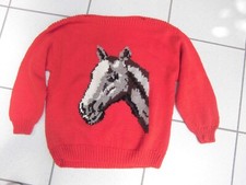 Pferdepullover, Handarbeit gestrickt, Pferdepulli, Strickpullover mit Pferdekopf