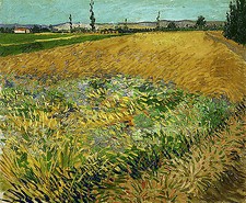 Wheatfield Vincent van Gogh Weizenfeld Bauern Wiese Getreide Pflanze B A3 03403
