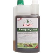  Arthrose Arthritis Spat Pferd