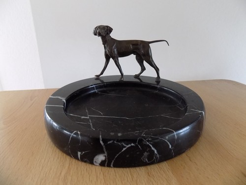 Jagdhund pointer setter - pointer, bronze