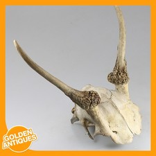 alter Vintage Hirsch Hirsch