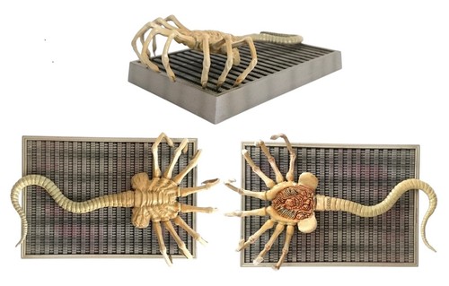 Alien face hugger model - model, made