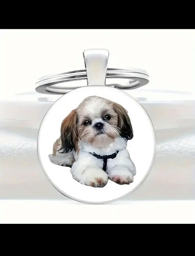 Hund hunde - hund, hunde-