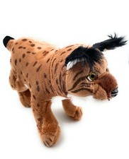 Luchs Schneeluchs große Katze