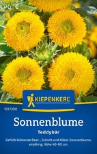 Kiepenkerl Sonnenblumensamen Teddybär, für ca 20 Pflanzen - Kübel-Sorte