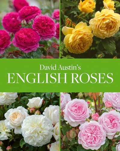 David austin english roses - austin's,