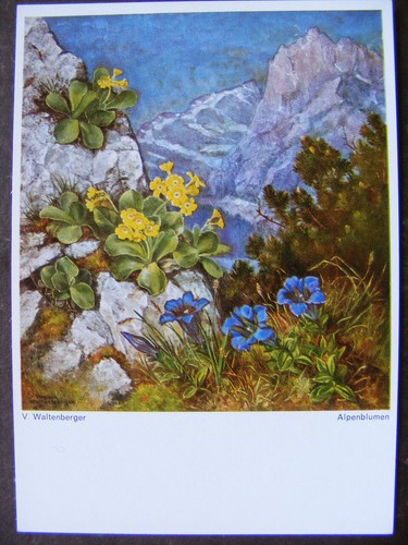 Postkarte ansichtskarte - postkarte,