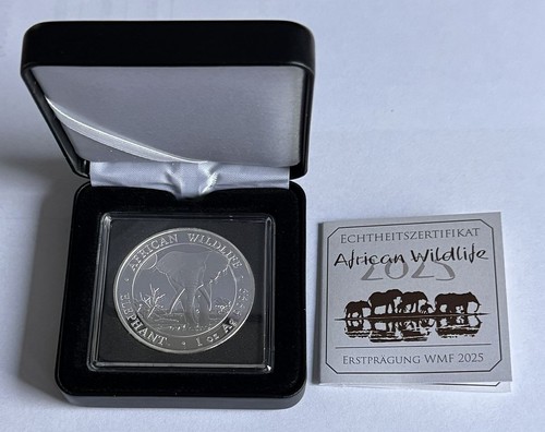 100 shillings somali african - 100,