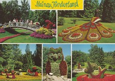 Postkarte - Baden-Württemberg - Insel Mainau - Kinderland - unversandt -