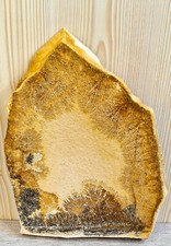 Großstufe Mangandendriten