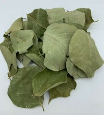 100g SIDR BLÄTTER - 100% natürlich Ziziphus Blätter ورق السدر 