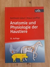 Anatomie und Physiologie der