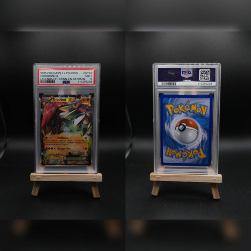 Groudon xypr xy black - xypr,