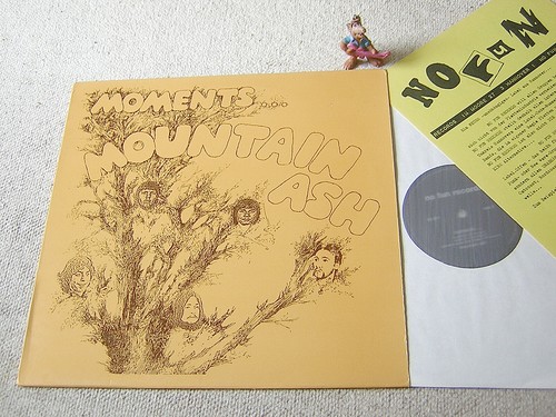 Mountain ash moments rare - mountain,